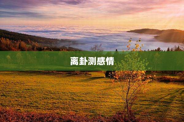 离卦测感情