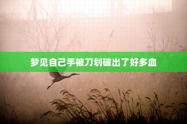 梦见自己手被刀划破出了好多血