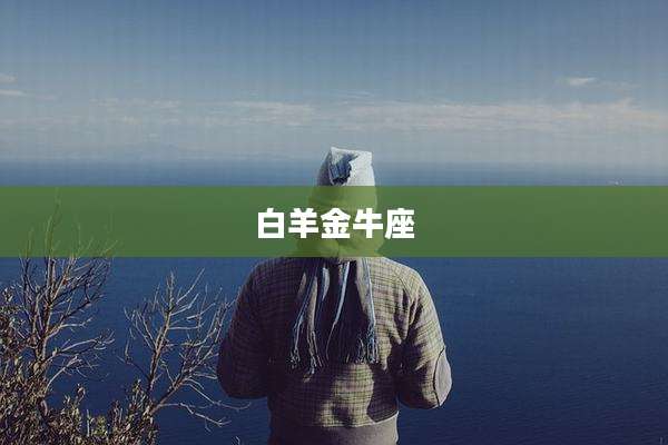 白羊金牛座
