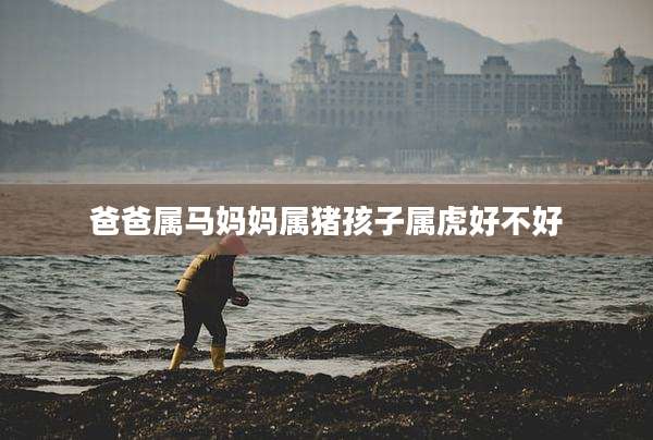 爸爸属马妈妈属猪孩子属虎好不好