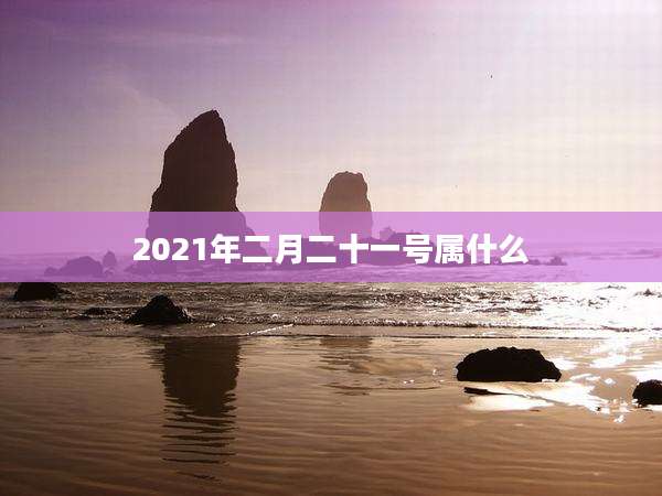 2021年二月二十一号属什么