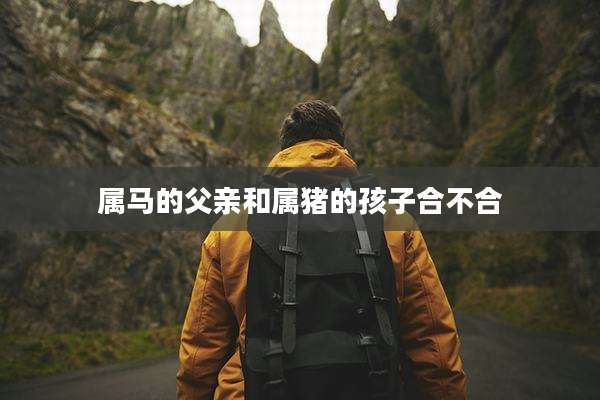 属马的父亲和属猪的孩子合不合