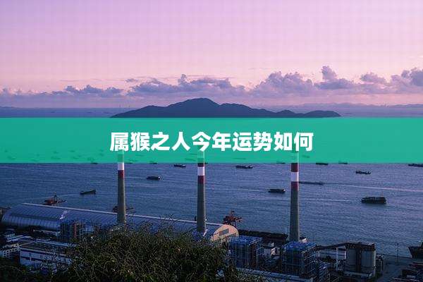 属猴之人今年运势如何