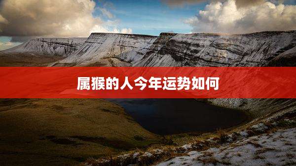 属猴的人今年运势如何