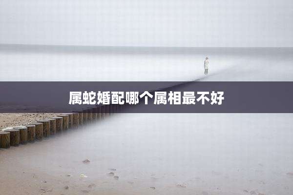 属蛇婚配哪个属相最不好