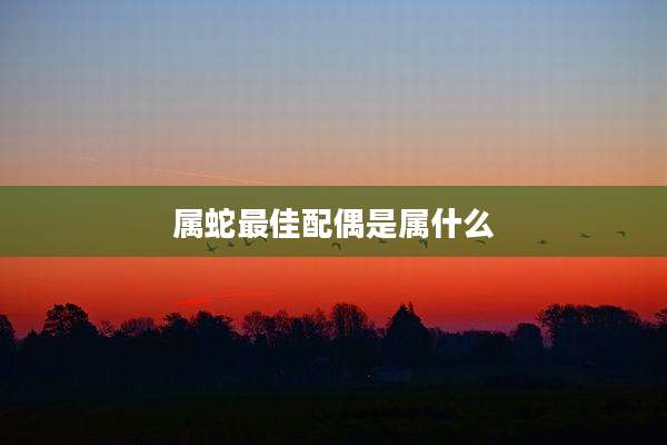 属蛇最佳配偶是属什么