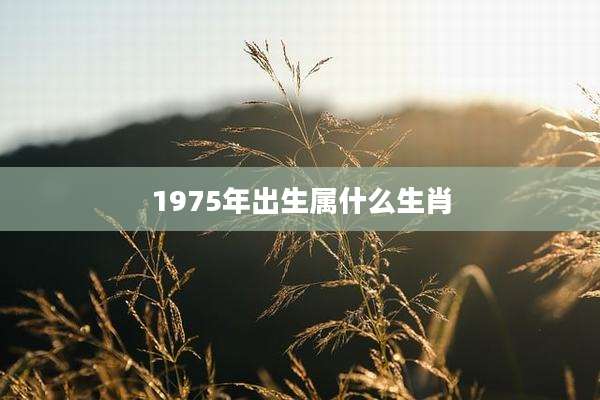 1975年出生属什么生肖