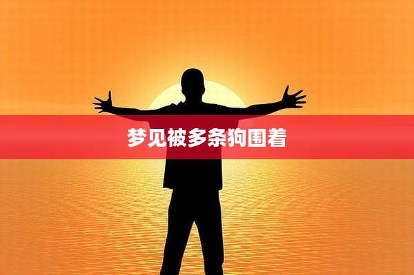 梦见被多条狗围着