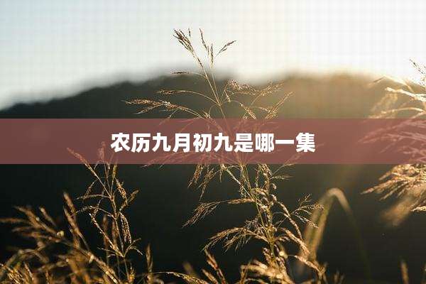 农历九月初九是哪一集
