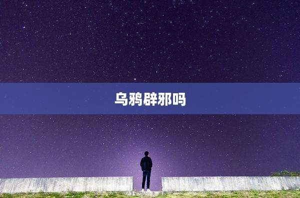 乌鸦辟邪吗