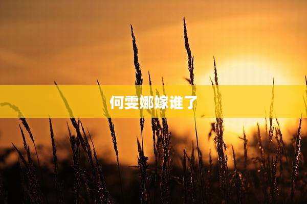 何雯娜嫁谁了