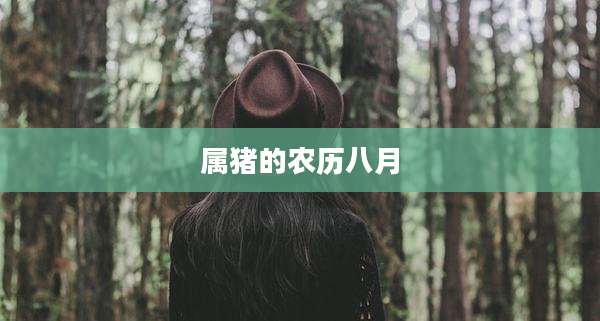 属猪的农历八月