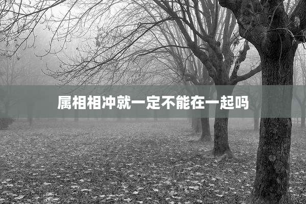 属相相冲就一定不能在一起吗