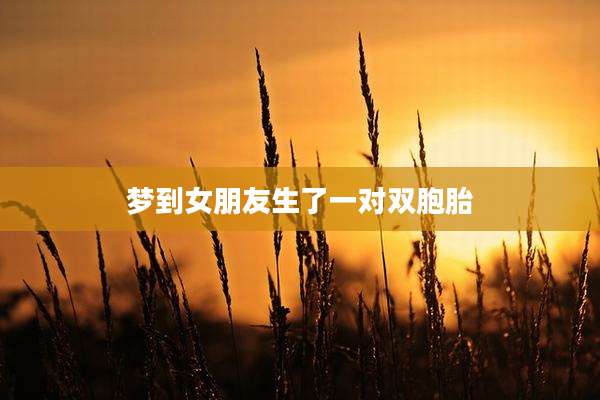 梦到女朋友生了一对双胞胎