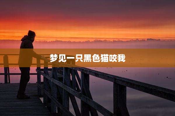 梦见一只黑***咬我