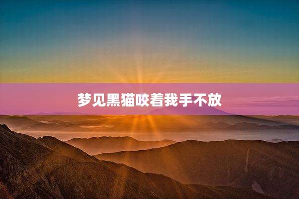 梦见黑猫咬着我手不放