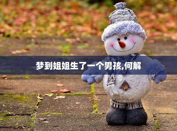 梦到姐姐生了一个男孩,何解