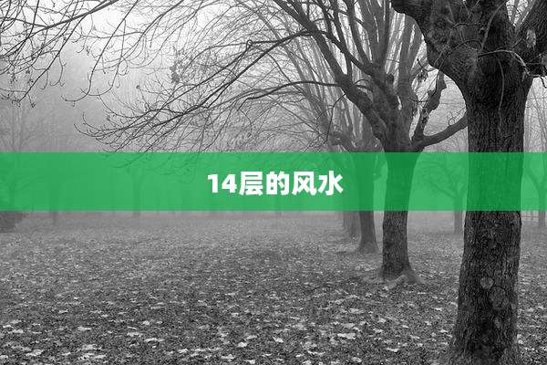 14层的风水