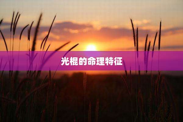 光棍的命理特征