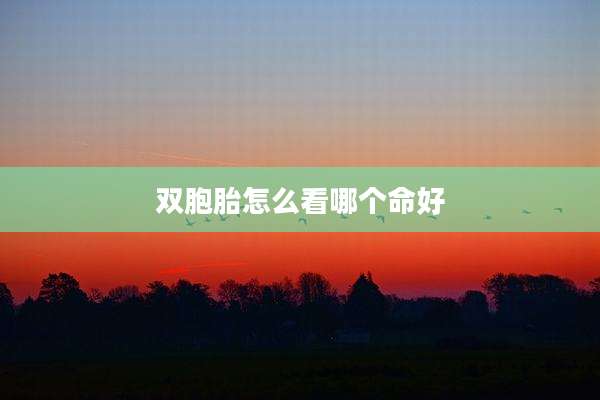 双胞胎怎么看哪个命好