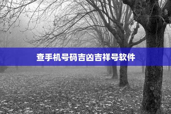 查手机号码吉凶吉祥号软件