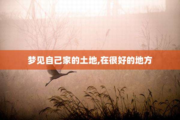 梦见自己家的土地,在很好的地方