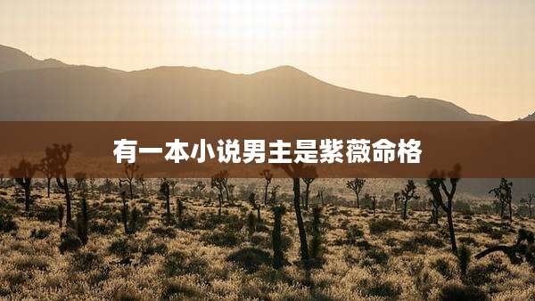 有一本小说男主是紫薇命格