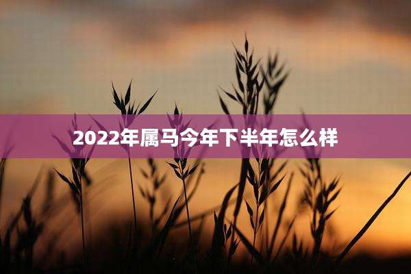 2022年属马今年下半年怎么样