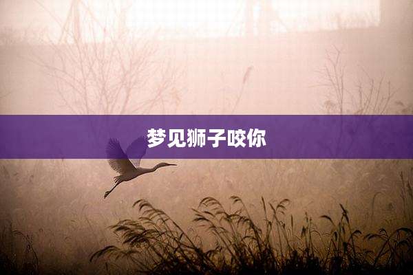 梦见狮子咬你