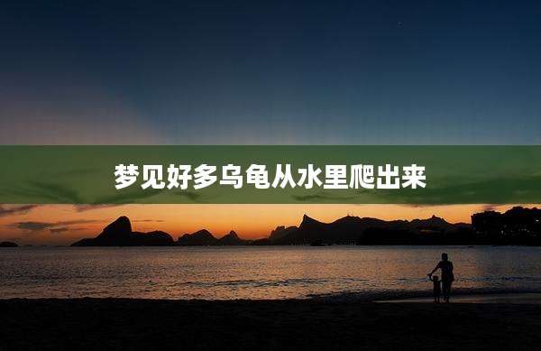 梦见好多乌龟从水里爬出来