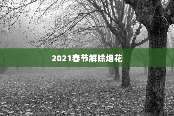 2021春节解除烟花