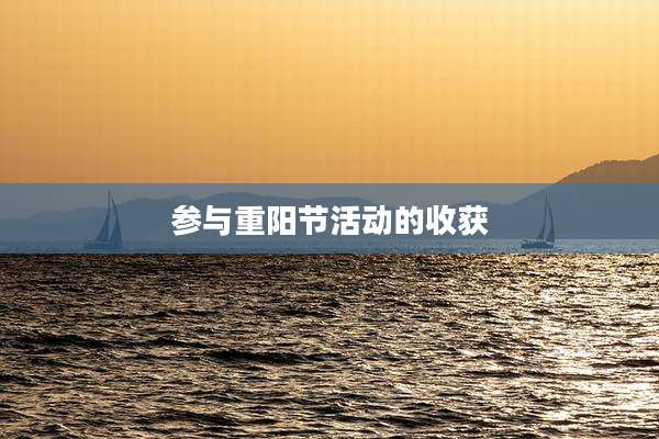 参与重阳节活动的收获