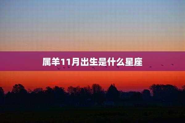 属羊11月出生是什么星座