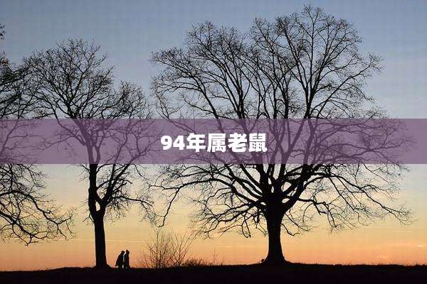 94年属老鼠