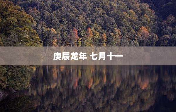 庚辰龙年 七月十一