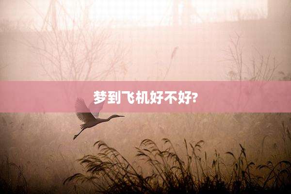 梦到飞机好不好?