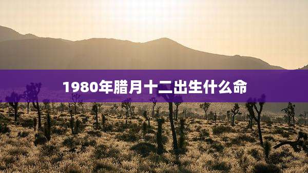 1980年腊月十二出生什么命