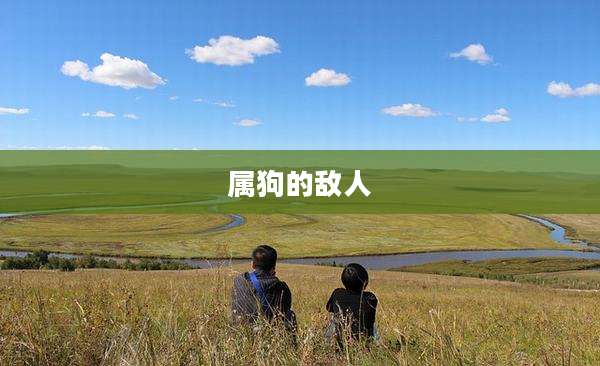 属狗的敌人