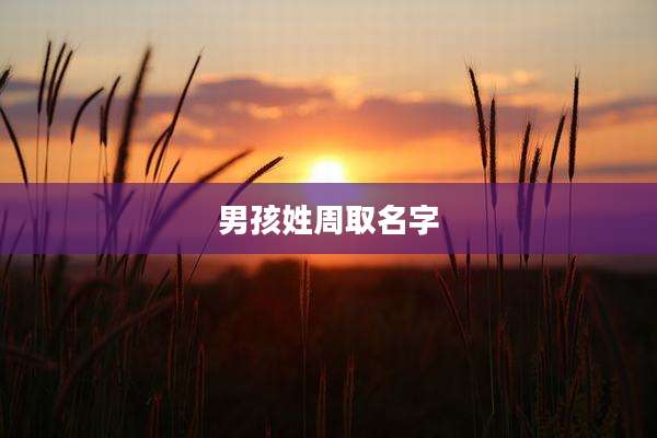 男孩姓周取名字