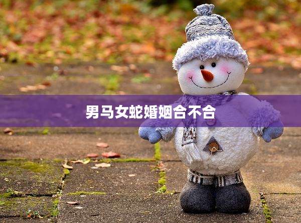 男马女蛇婚姻合不合