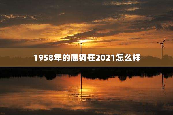 1958年的属狗在2021怎么样