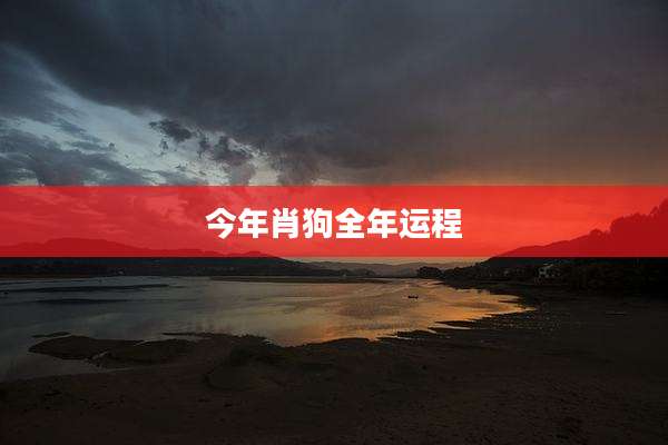 今年肖狗全年运程