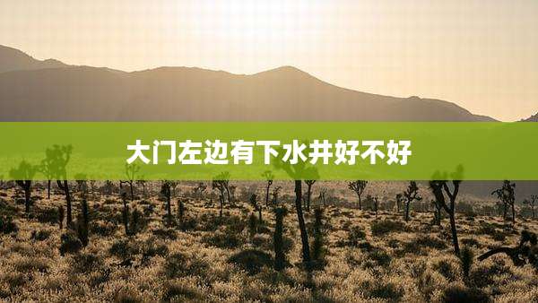 大门左边有下水井好不好
