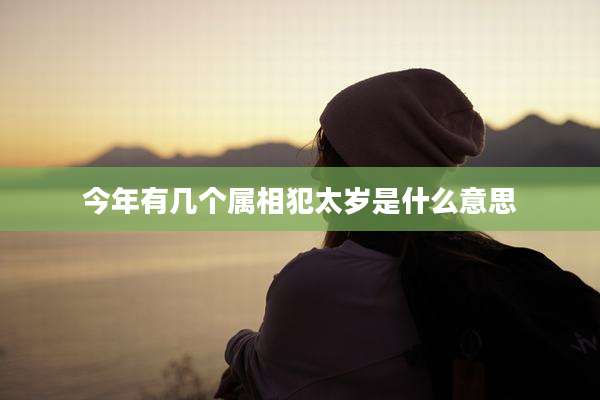 今年有几个属相犯太岁是什么意思