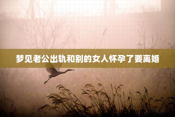 梦见老公出轨和别的女人怀孕了要离婚