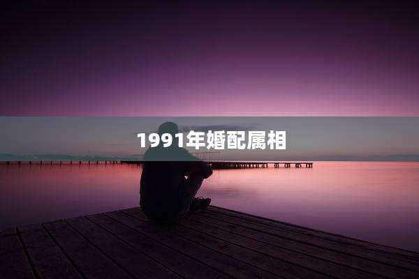 1991年婚配属相