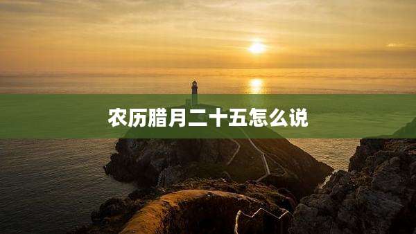 农历腊月二十五怎么说