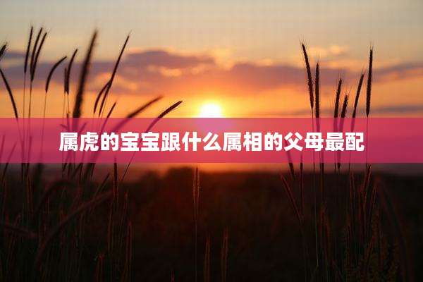 属虎的宝宝跟什么属相的父母最配