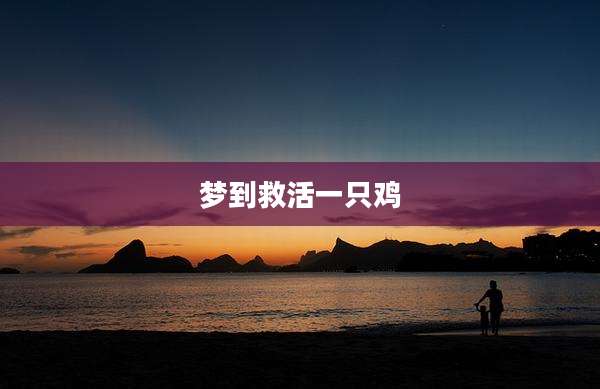 梦到救活一只鸡