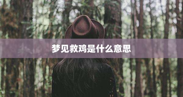 梦见救鸡是什么意思